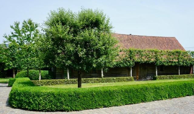 B&B De Hulst Iseghem Extérieur photo